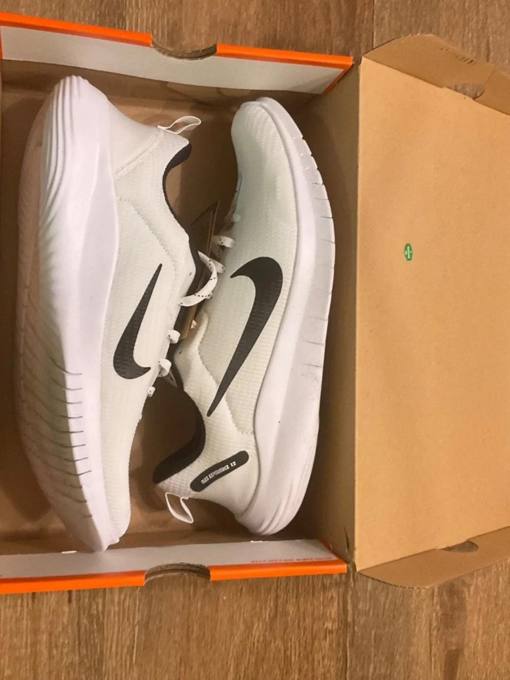 MENS NIKE FLEX EXPERIENCE 12 SHOES